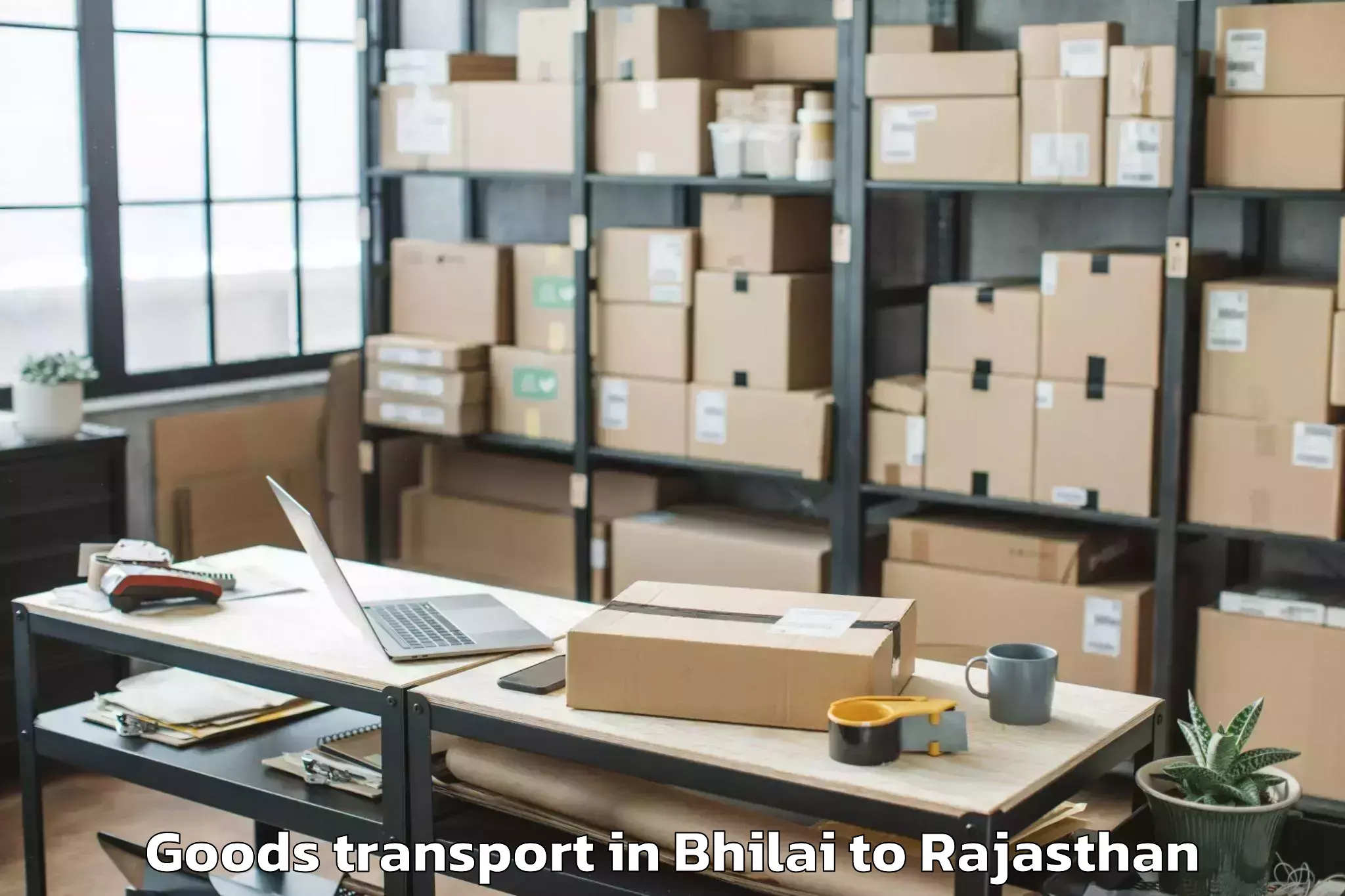 Easy Bhilai to Neem Ka Thana Goods Transport Booking